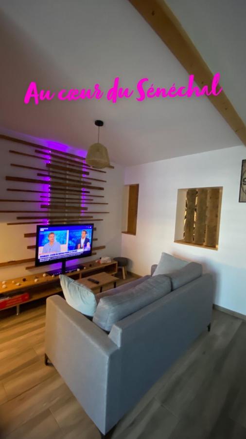 Au Coeur Du Senechal Apartment Marquise Bagian luar foto